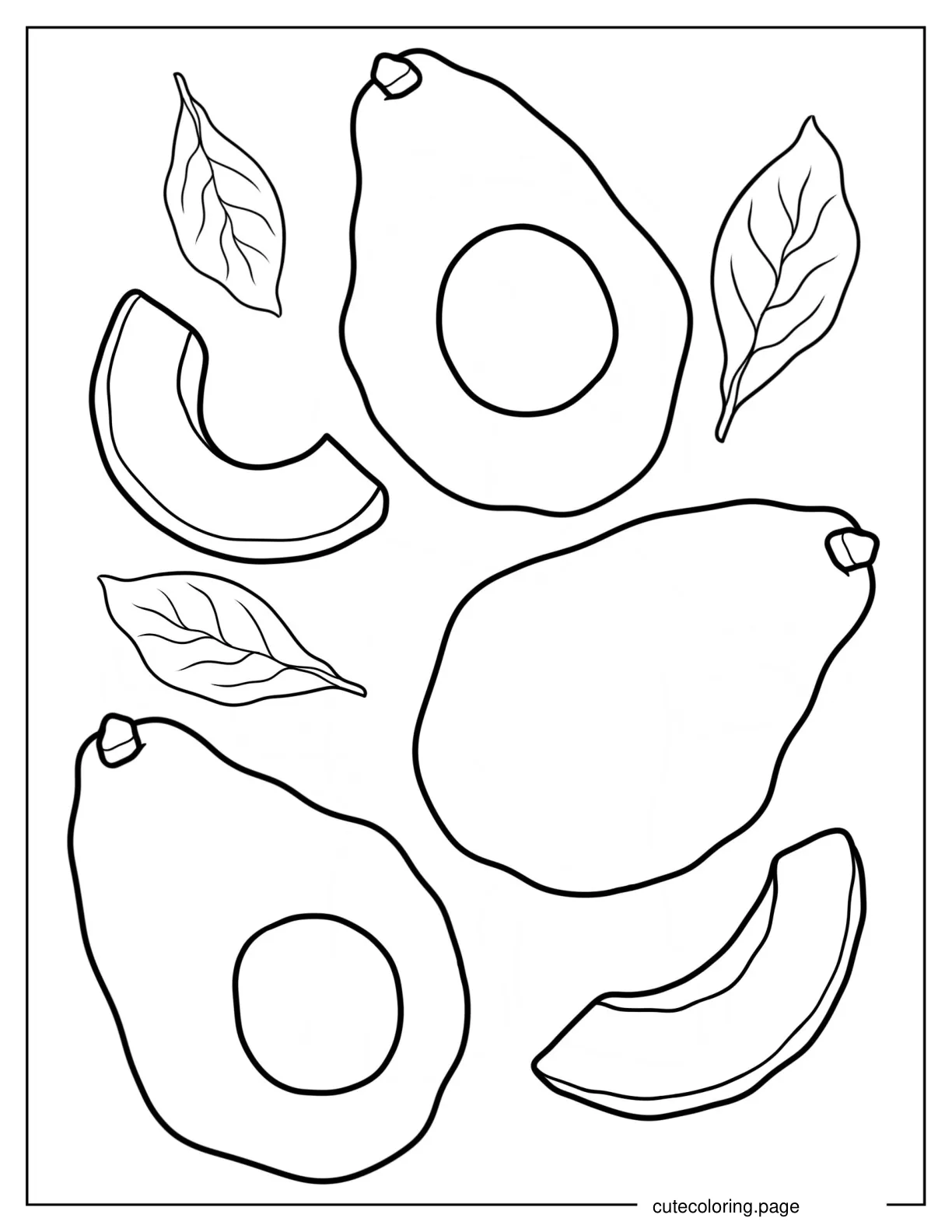 Easy Outline Of Avocado Halves And Slices Coloring Sheet coloring page