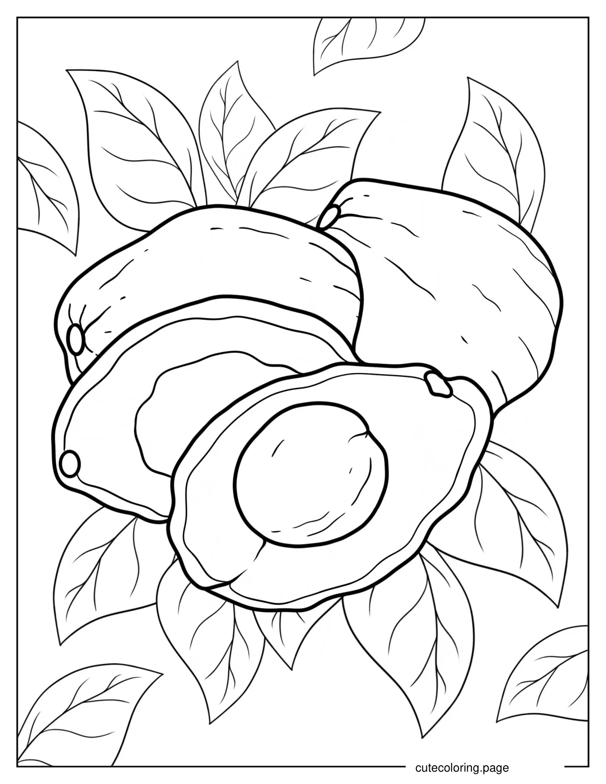 Whole Avocado With Avocado Halves Coloring Page coloring page