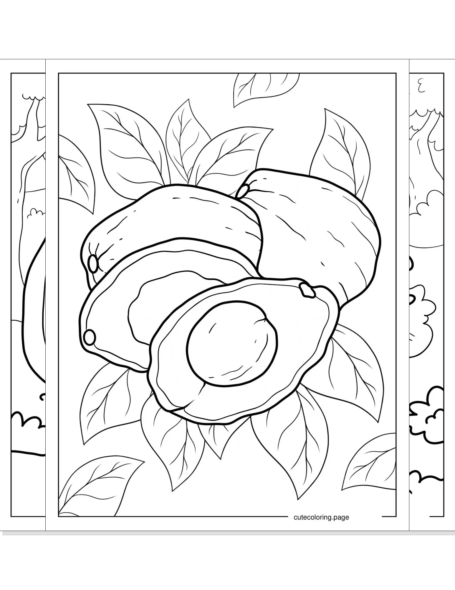 avocado coloring pages coloring page