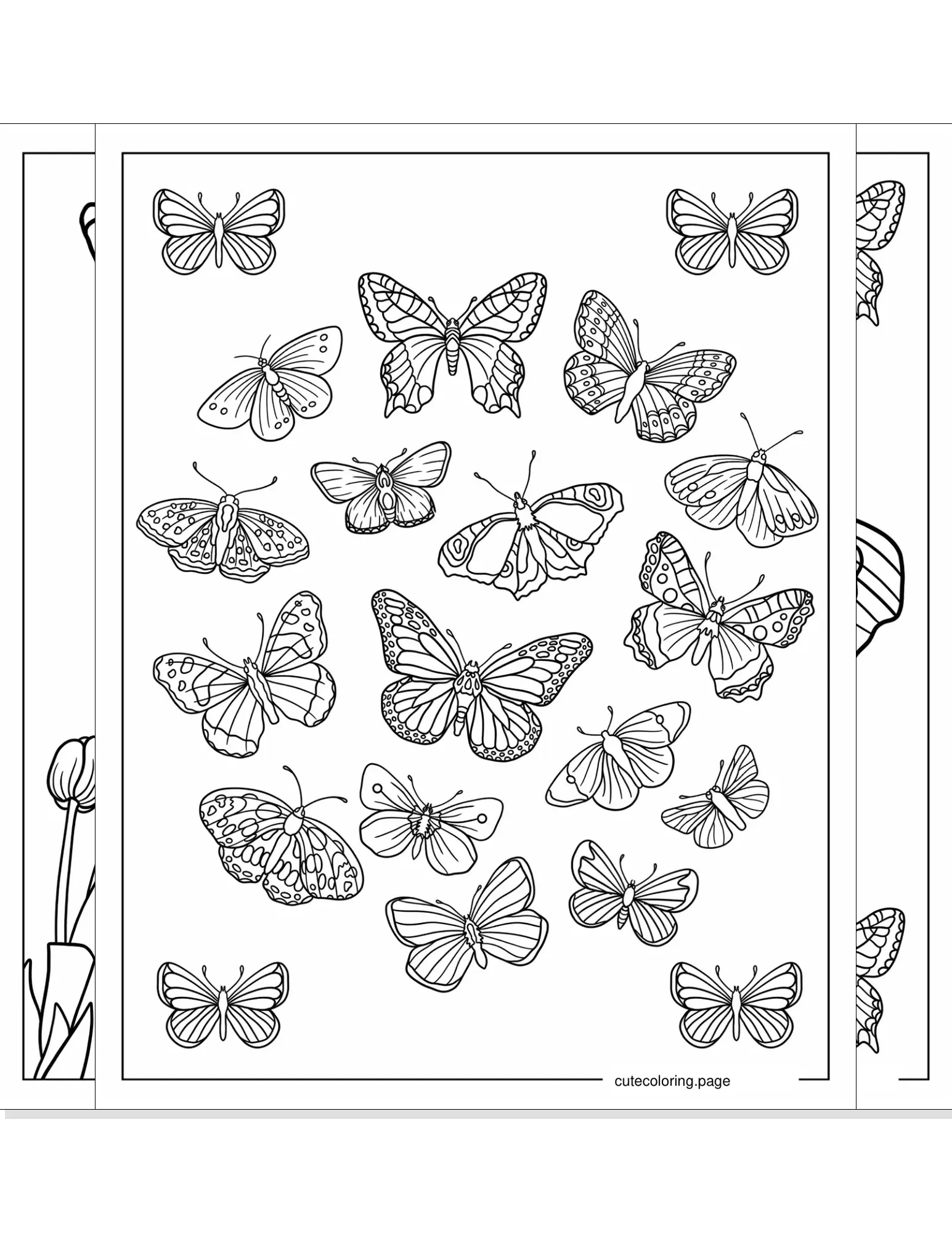 butterfly coloring pages coloring page