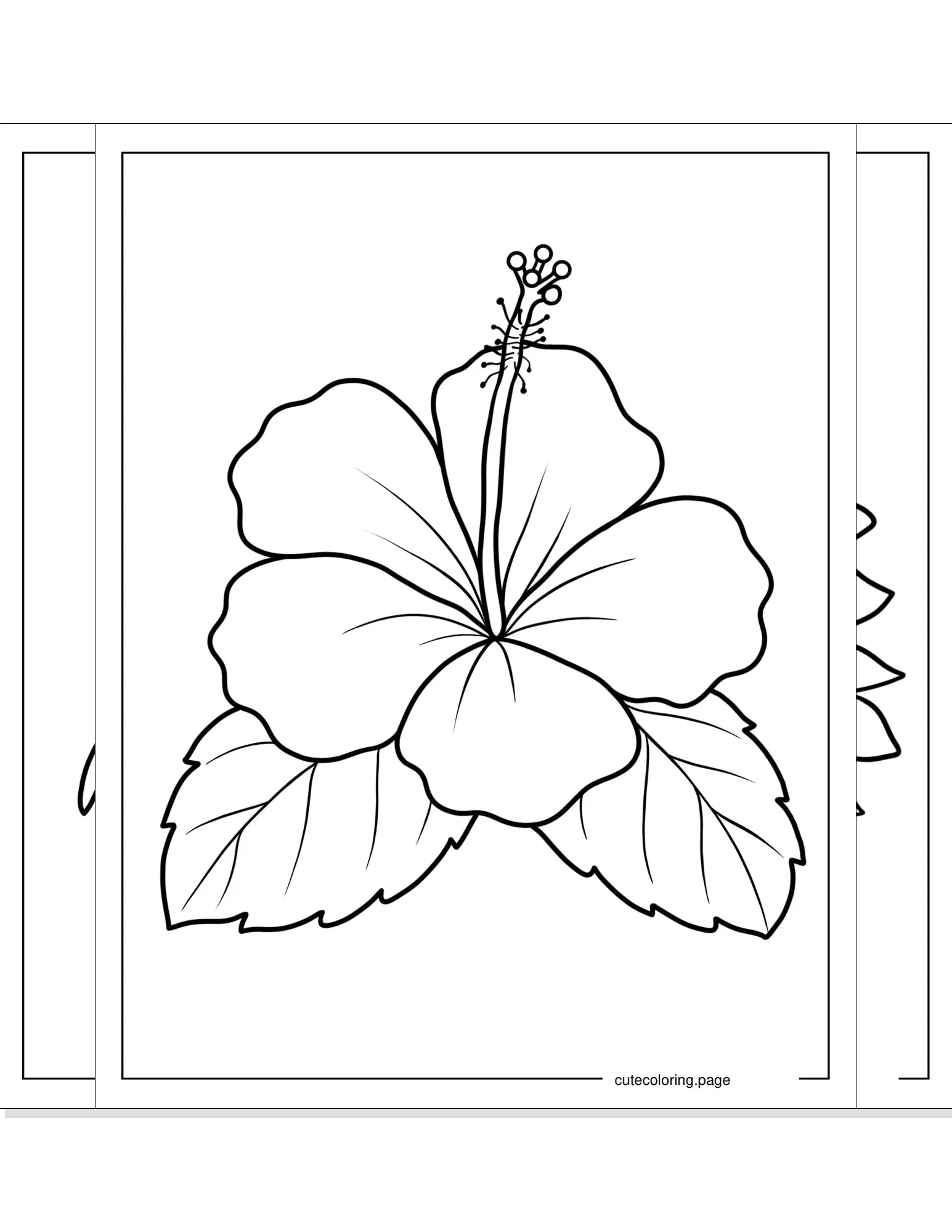 flower coloring pages coloring page