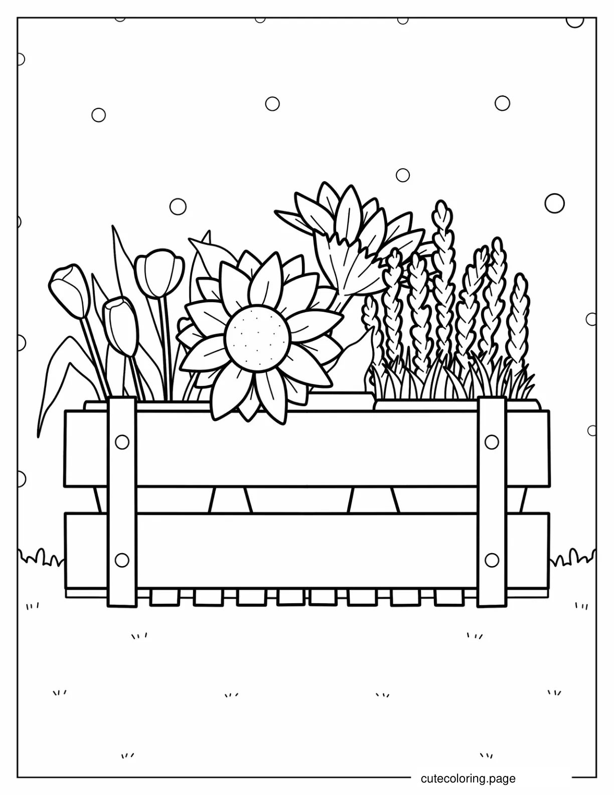 Outline Of Flowers In Garden Box Coloring In coloring page