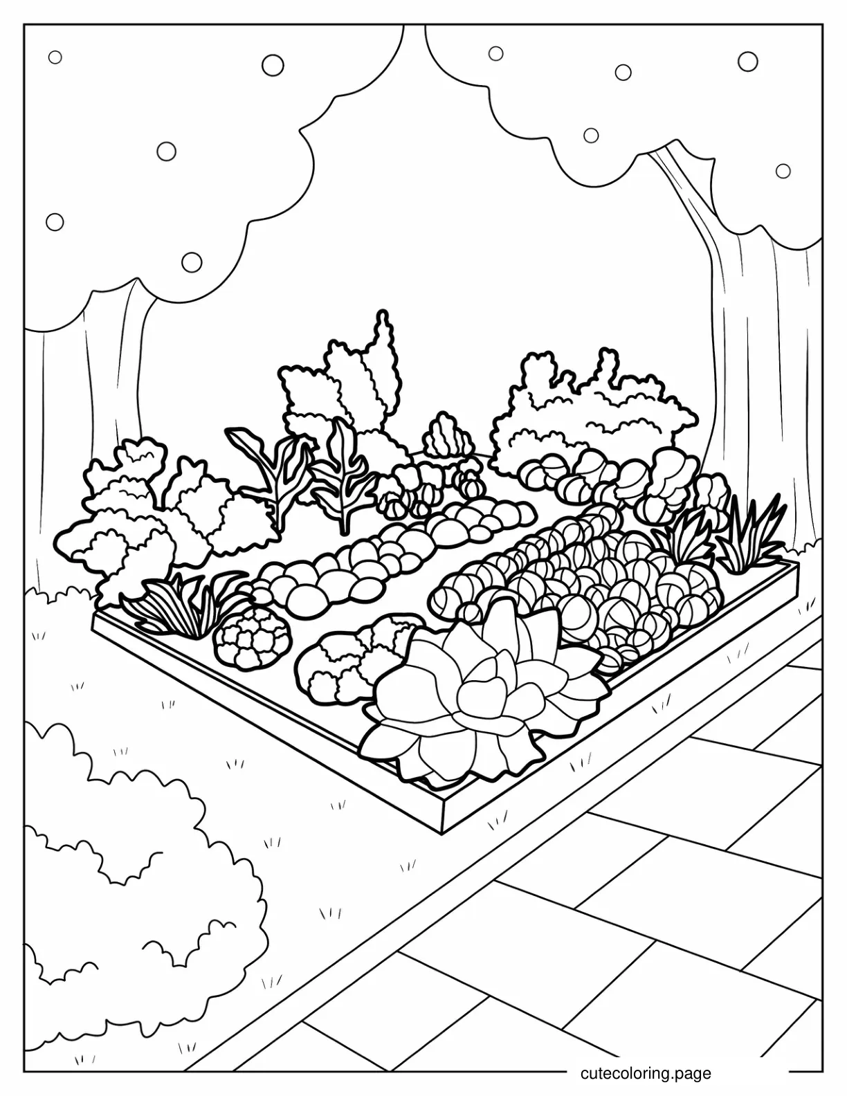 Square Vegetable Patch coloring page