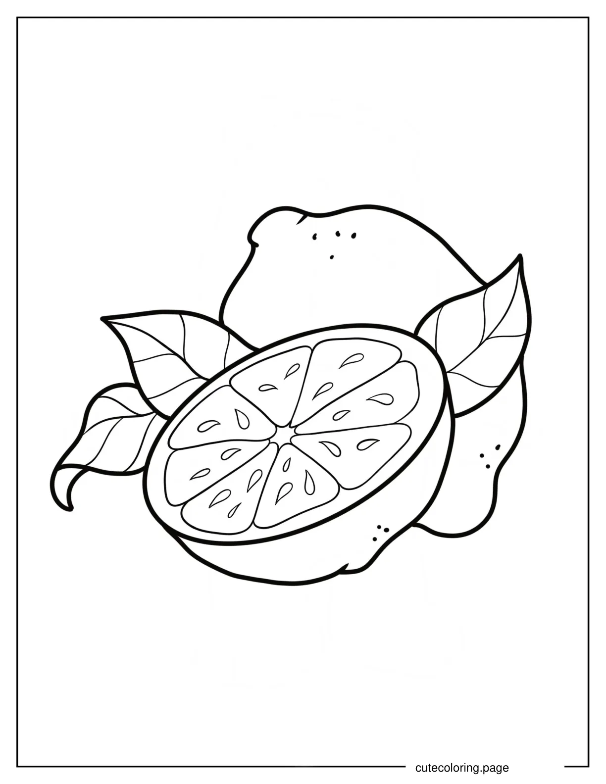 Detailed Lemon Slice With Whole Lemon Coloring Page coloring page