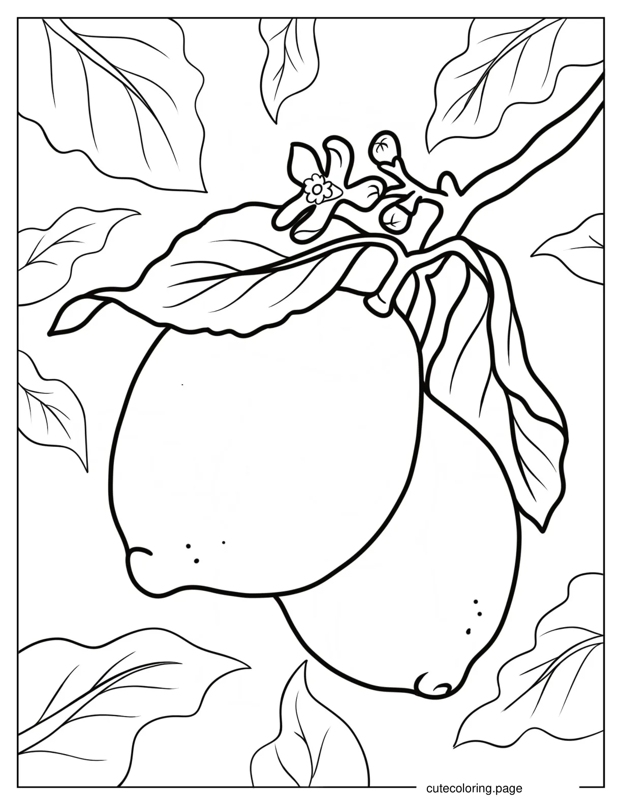 Two Whole Lemons Hanging From A Tree coloring page