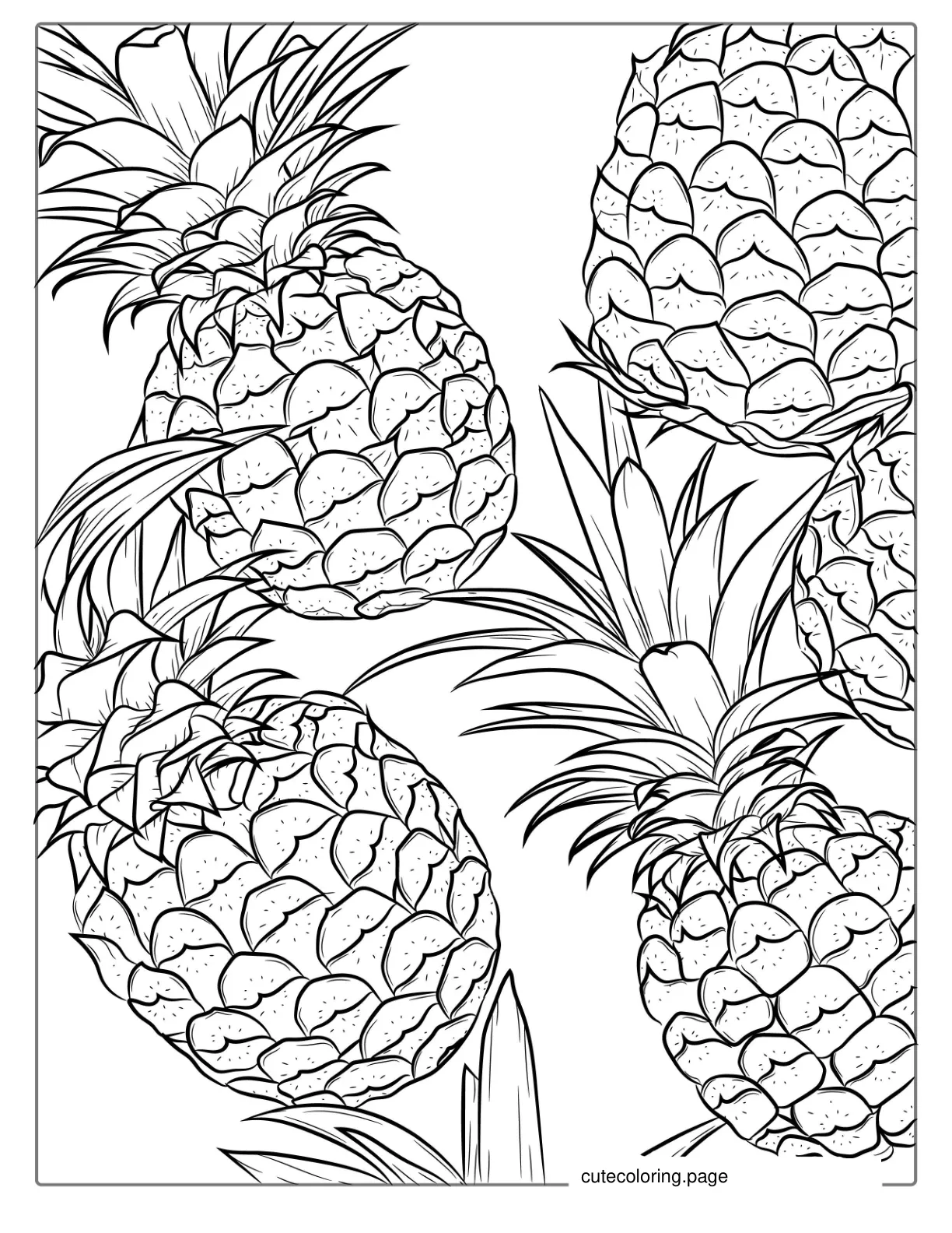 Juicy Pineapple Coloring Sheet coloring page