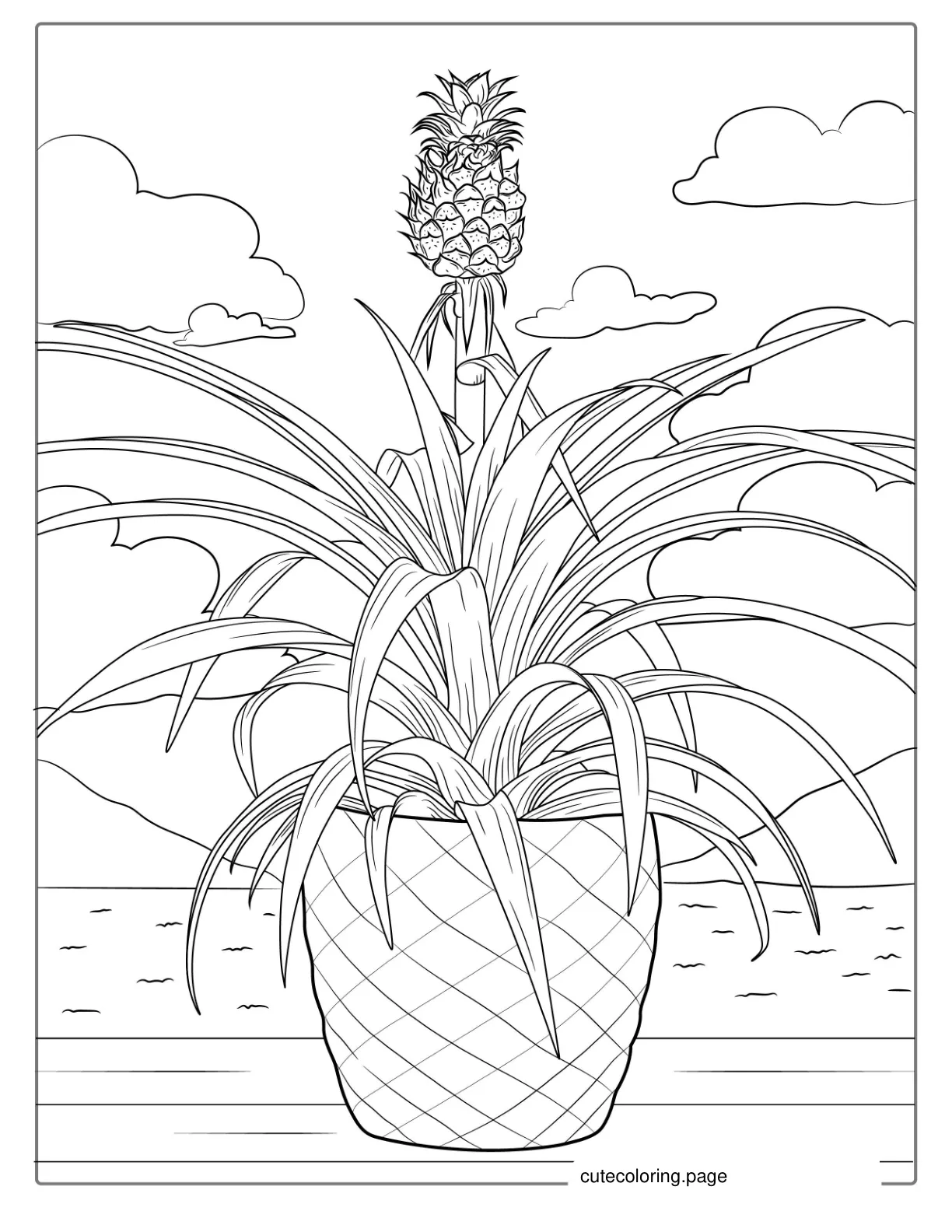 Pineapple Plant Coloring Page coloring page