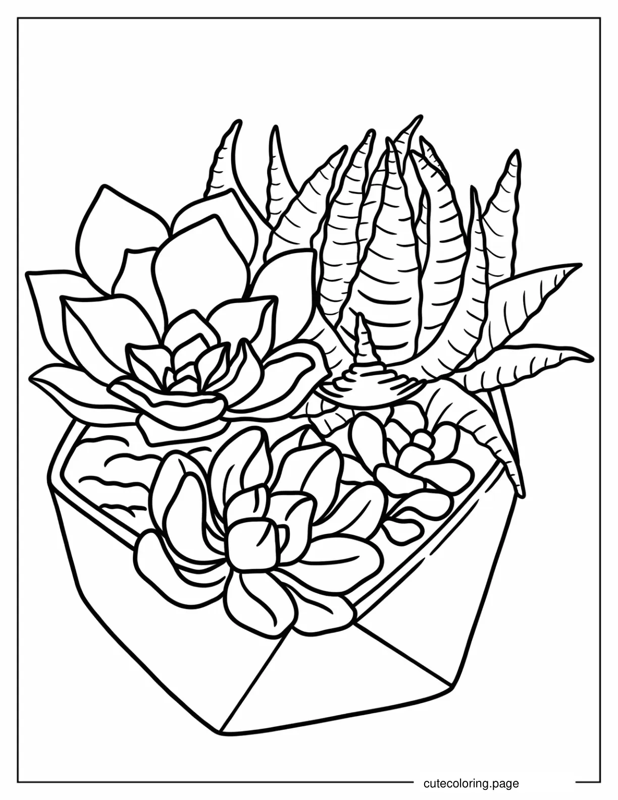 Echeveria Haworthia And Aloes In A Pot Coloring Page coloring page