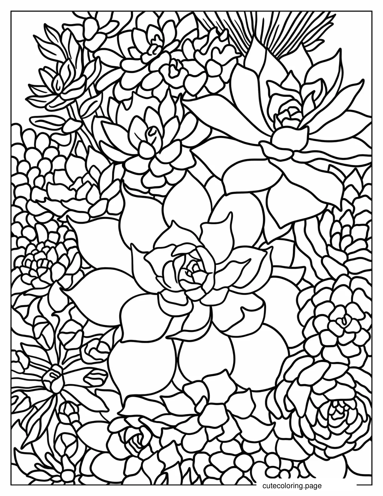 Full Page Flowering Succulents Coloring Sheet coloring page