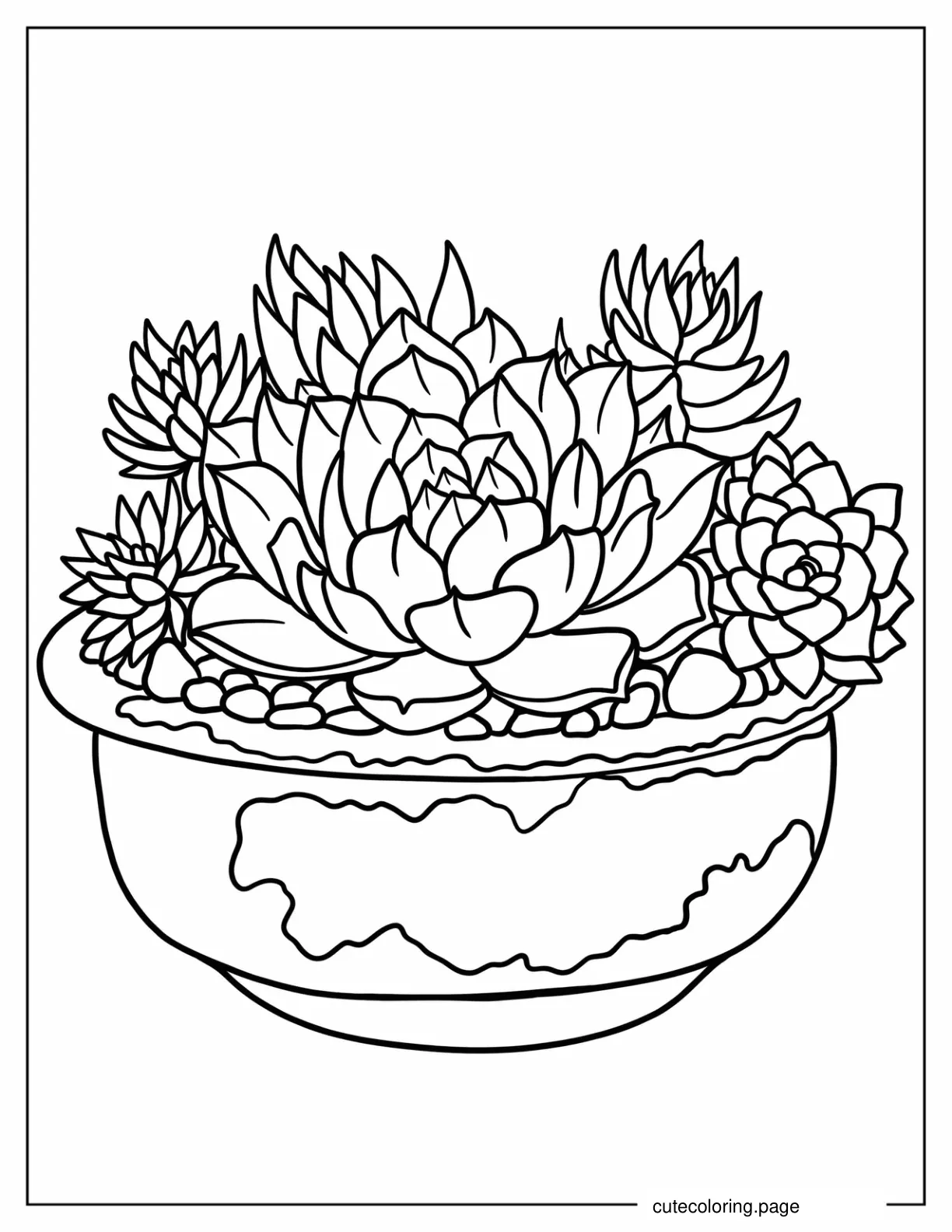 Large Echeveria Succulents In Clay Pot Coloring Sheet coloring page