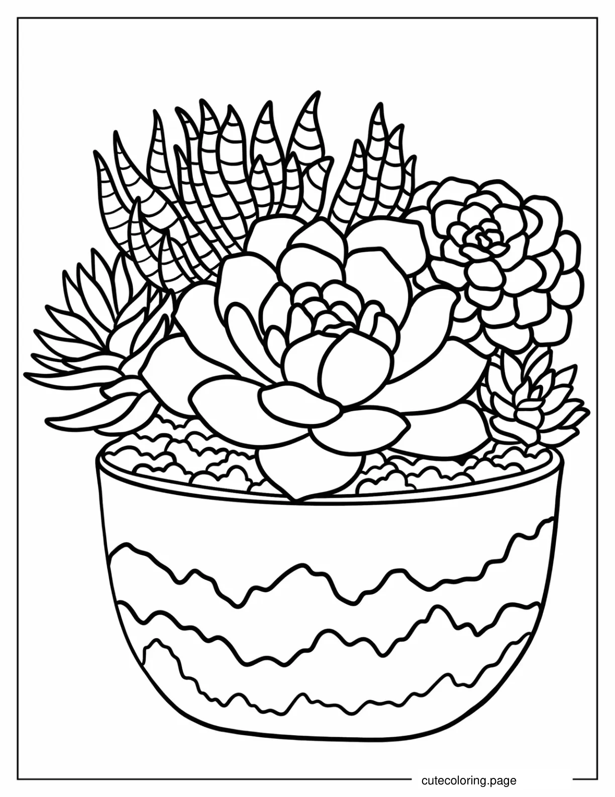 Realistic Succulents In Large Container Coloring Page coloring page