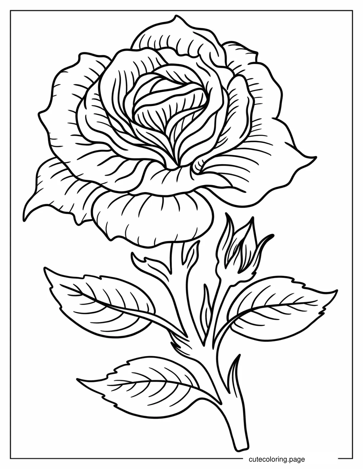 Realistic Rose Tattoo Coloring Page coloring page