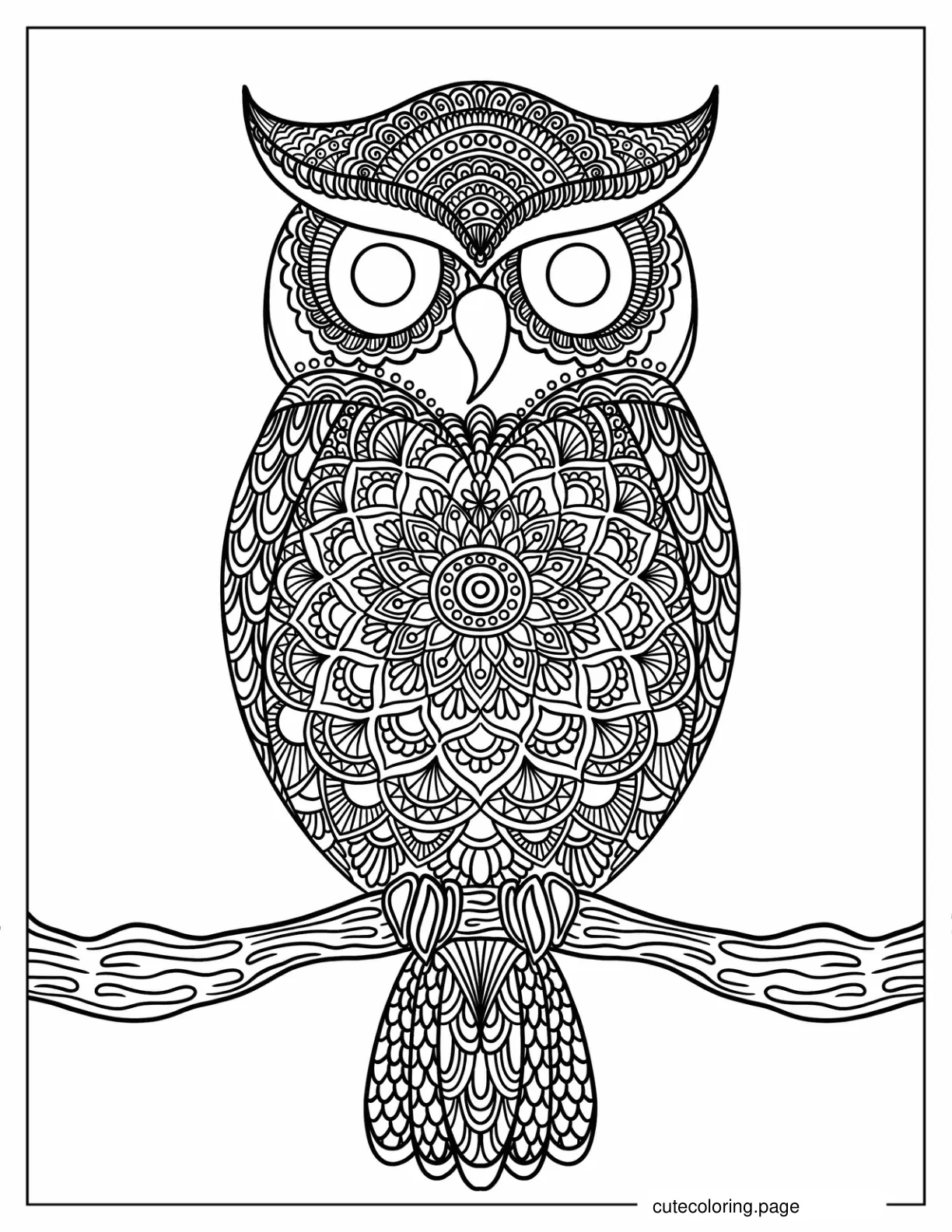 Coloring Sheet Of An Owl Zentangle coloring page